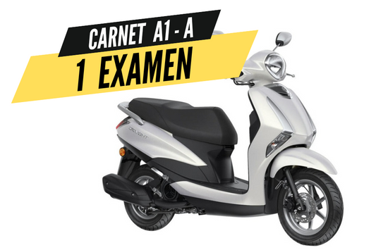 PRECIO CARNET A1 AUTOMATICA 1 EXAMEN